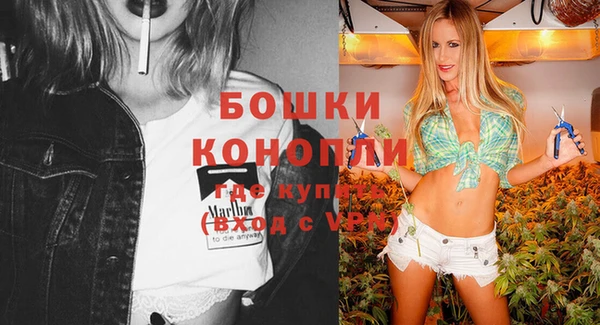 сатива Абаза