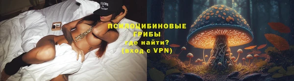 сатива Абаза