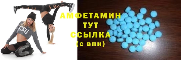 сатива Абаза