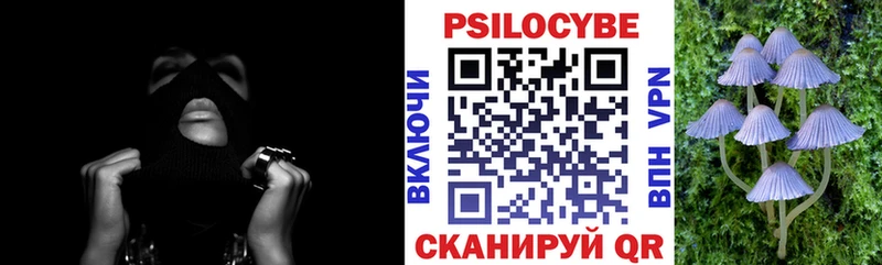 ОМГ ОМГ ТОР  Болгар  Псилоцибиновые грибы Cubensis 